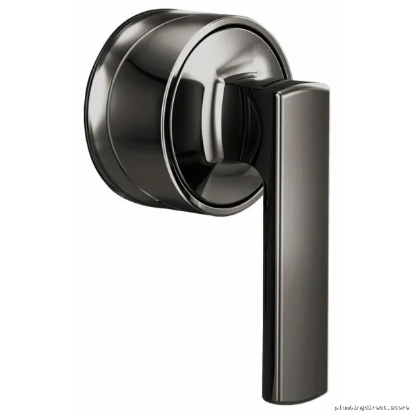 Brizo Thermostatic Valve Trim | Kintsu Sensori Collection | Black Onyx Lever Handle Set HL6606-BNX