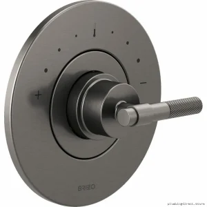 Brizo Luxe Steel Thermostatic Shower Trim Kit with T-Lever Handle