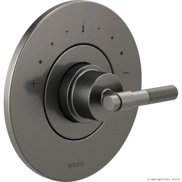 Brizo Luxe Steel Thermostatic Shower Trim Kit with T-Lever Handle