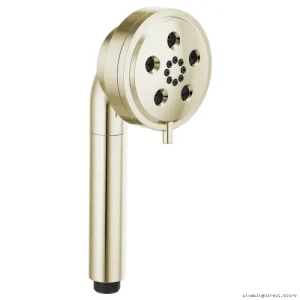 Brizo Triple Spray Polished Nickel Hand Shower