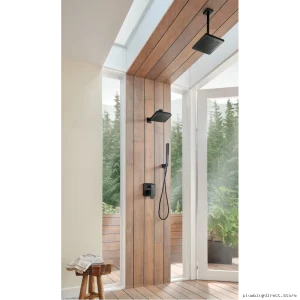 Premium Brizo Vettis Square Rain Shower in Matte Black