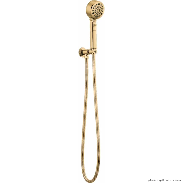 Brizo Wall Mount Hand Shower H2OKinetic Technology - Polished Gold 88876-PG
