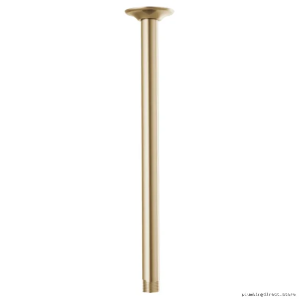 Brizos Essentials Ceil Mount Showers Arms With Rnd Flng & Luxury Fin