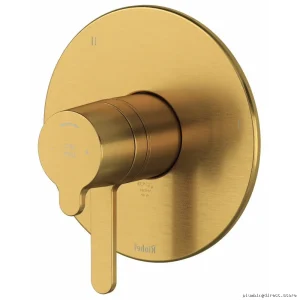 Nibi 5-in-1 Thermostatic Shower Valve Trim with Brushed Gold Finish - TNB45BG by RIOBEL