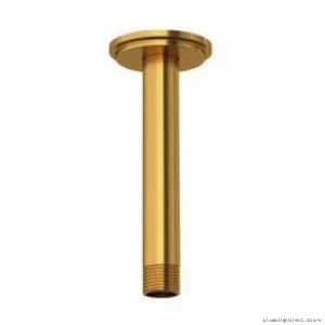 Brushed Gold Ceiling-Mount Shower Arm with Round Wall Plate - RIOBEL Model 568BG