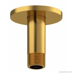 Brushed Gold Ceiling Shower Arm with Round Plate 3-Position Mount