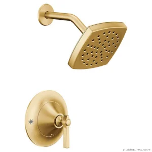 Brushed Gold Eco-Shower Trim with Consistent Temp Control for Water Savings