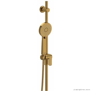 Brushed Gold 2-Spray Handheld Shower with Adjustable Slide Rail 1.8 GPM