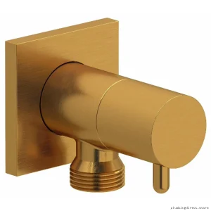 Brushed Gold Handshower Outlet with Built-In Shutoff Valve - RIOBEL