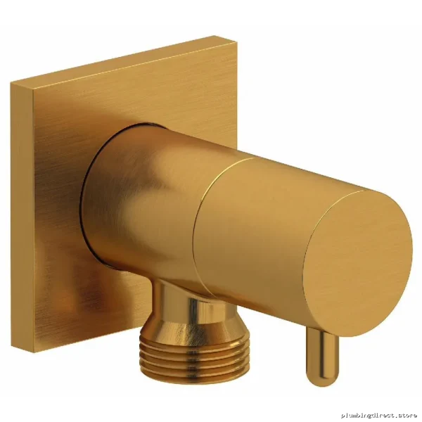 Brushed Gold Handshower Outlet with Built-In Shutoff Valve - RIOBEL