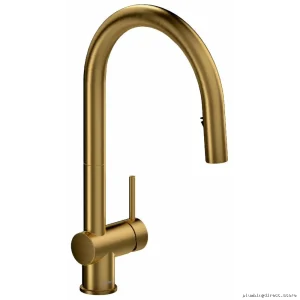 Brushed Gold Pull Down Kitchen Faucet with Sprayer by RIOBEL AZ201BG