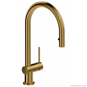 Pull-Down Kitchen Faucet with Brushed Gold Finish - RIOBEL AZ101BG