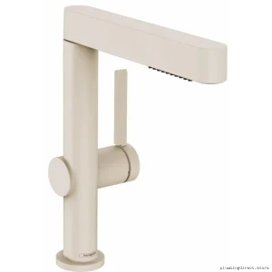 Brushed Nickel Single-Hole Kitchen/Bathroom Faucet with Pull-Out Spray