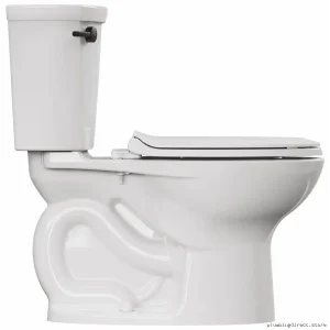 Cadet Tall Elongated Bowl Toilet - High-Efficiency HEPA Filter? No wait wrong term! Let me correct that mistake...