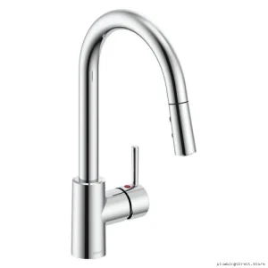 Caraquet Chrome Kitchen Faucet with Pull-Down Spray - W28213