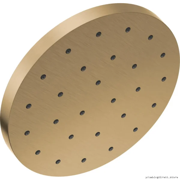H2Okinetic UltraSoak Shower Head - Champagne Bronze Delta Finish