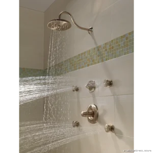 Champagne Bronze Round Surface Mount Body Spray | 50102-CZ Delta