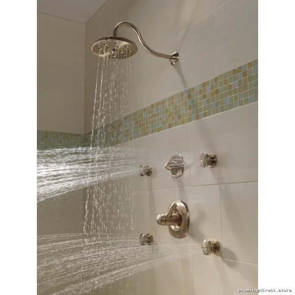 Champagne Bronze Round Surface Mount Body Spray | 50102-CZ Delta