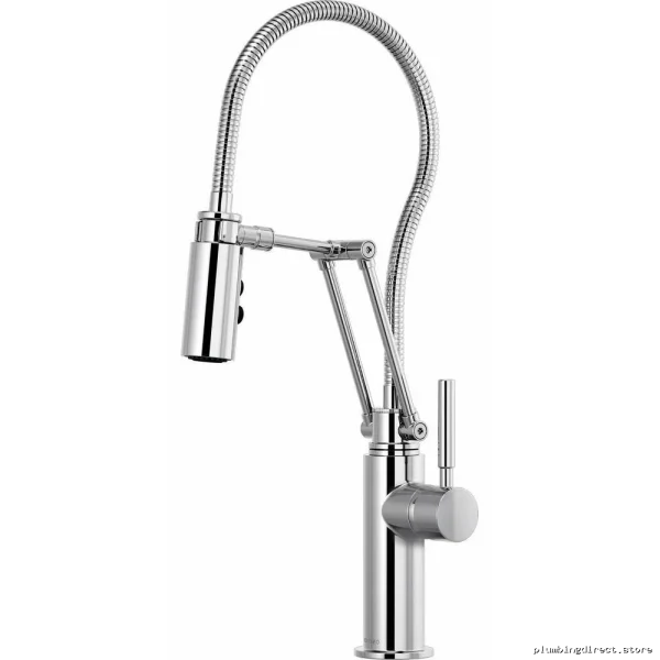 Chrome Adjustable Kitchen Faucet with Pull-Down Spray & Finished Hose