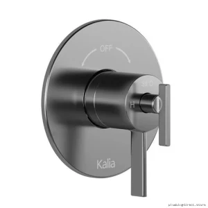 Chrome Integrated Diverter Valve Trim for Two-Port Thermostat & Coaxial Systems - RoundOne Kalia Model #104090-11