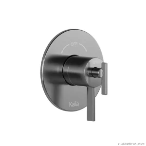 Chrome Thermostatic Shower Valve with 2-Way Diverter - RoundOne BF1585