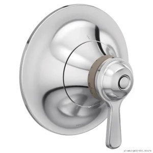 Colinet ExactTemp Precise Thermostat Valve Trim - Chrome TS44401 Moen