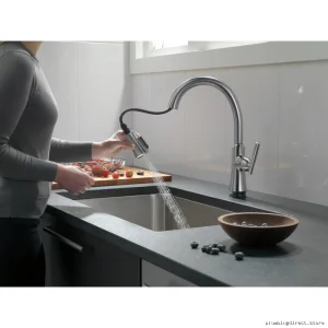 Coranto Touch Faucet w/ Pulldown Spray & Shield - Arctic Stainless Model 9179T