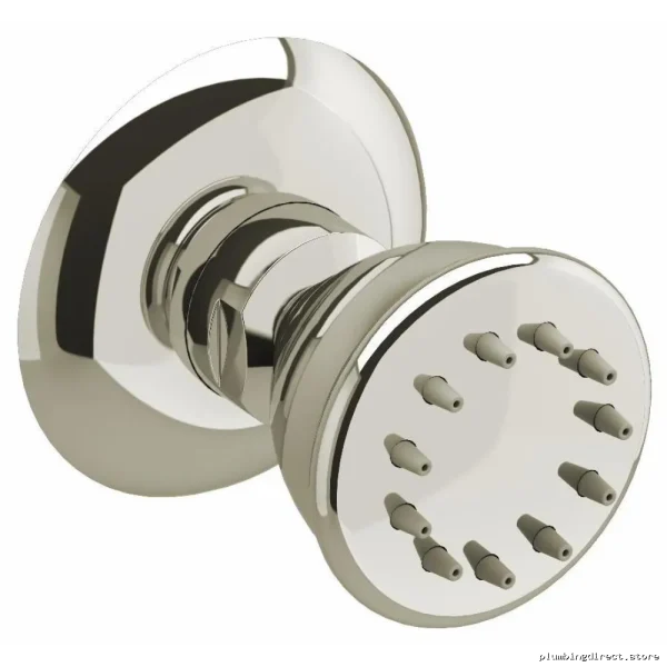 Curved Polished Nickel Shower Spray Head - Easy Install RioBel Model