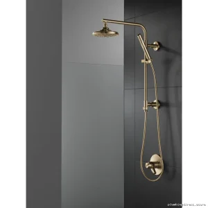 Delta CZ58810 Modern 18-Inch Round Shower Column in Champagne Bronze