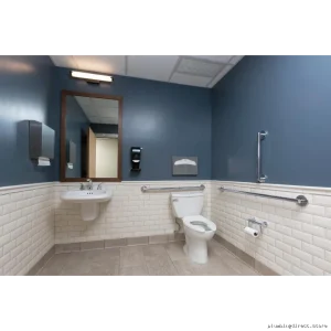 Delta 36 Inch ADA Compliant Matte Black Grab Bar - Modern Bathroom Safety