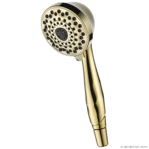 7-Function Delta Handheld Shower in Polished Brass