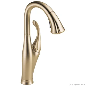 Delta Addison Pull-Down Spray Bar Faucet in Champagne Bronze