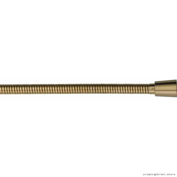 Delta Adjustable Chrome Bronz HD Shwr Hos From XXtoYY - Image 2