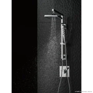 Delta Adjustable Chrome Bronz HD Shwr Hos From XXtoYY