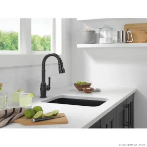 Delta Broderick Kitchen Faucet with Pull-Down Spray - Matte Black Finish