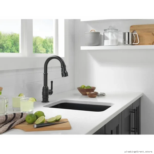 Delta Broderick Kitchen Faucet with Pull-Down Spray - Matte Black Finish