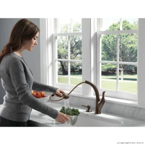 Elegant Wall-Mounted Soap Lotion Dispenser - Venetian Bronze RP1002RB Delta