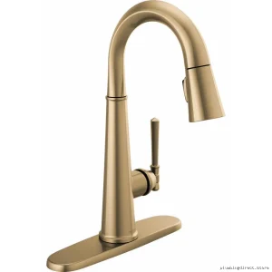 Delta Champagne Bronze Bar Faucet with Pull Down Spray