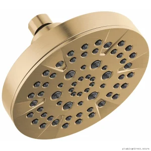 Delta Adjustable Shower Head 52535-CZ - 5 Settings & 1.75 GPM in Champagne Bronze