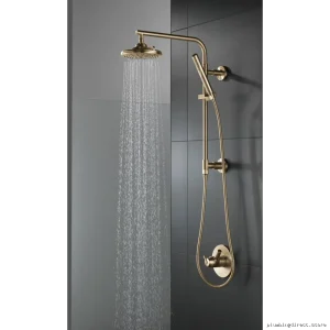 Delta Champagne Bronze Shower Column with 18 Round Lumicoat Spray
