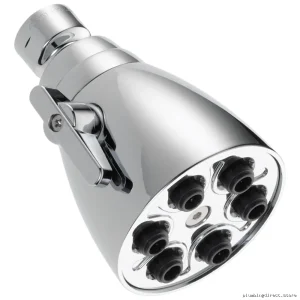 Delta Chrome 6-Spray Adjustable Showerhead with Multiple Settings