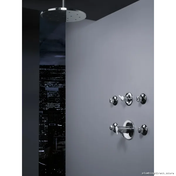Delta Chrome Shower Head with H2Okinetic Massage Tech HydraChoice