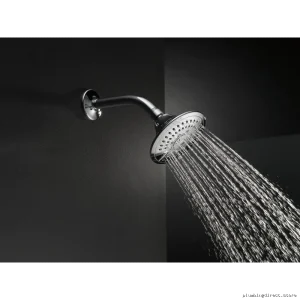 Delta Chrome Raincan Shower Head with 5 Adjustable Spray Settings 52683