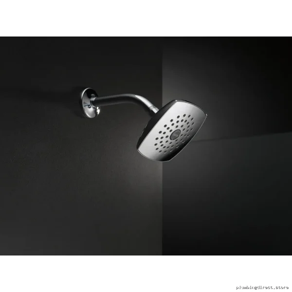 Delta Chrome Raincan Shower Head with Single Spray