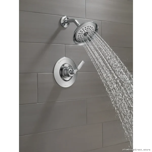 Delta Chrome Woodurst Shower Trim | Sleek Bath Design - Image 2
