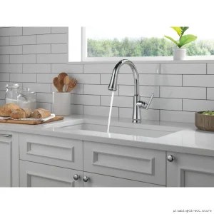 Delta Coranto 9179-DST Kitchen Faucet with Pulldown Sprayer and ShieldSpray Technology in Chrome