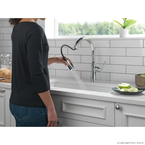 Delta Coranto 9179-DST Kitchen Faucet with Pulldown Sprayer and ShieldSpray Technology in Chrome - Image 2