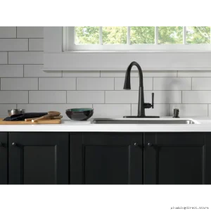 Delta Emmelene Contemporary Stainless Steel皂液器 Mattt Blaack R P...