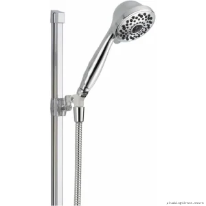 Delta Euro Style Handheld Shower with 24-Inch Adjustable Chrome Sliding Bar