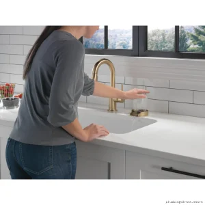 Delta Champagne Bronze GR250-CZ Metal Glass Cleaner Rinser